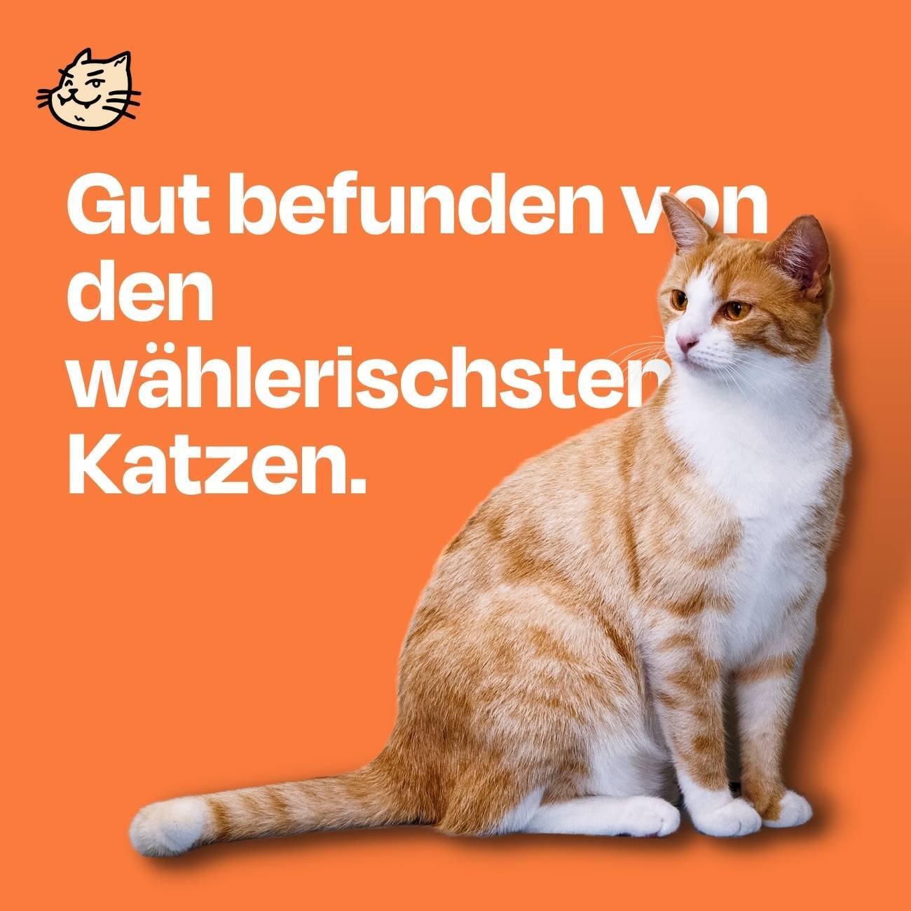 The Better Cat Trockenfutter The Better Cat Gefriergetrockneter Snack - Huhn 50g