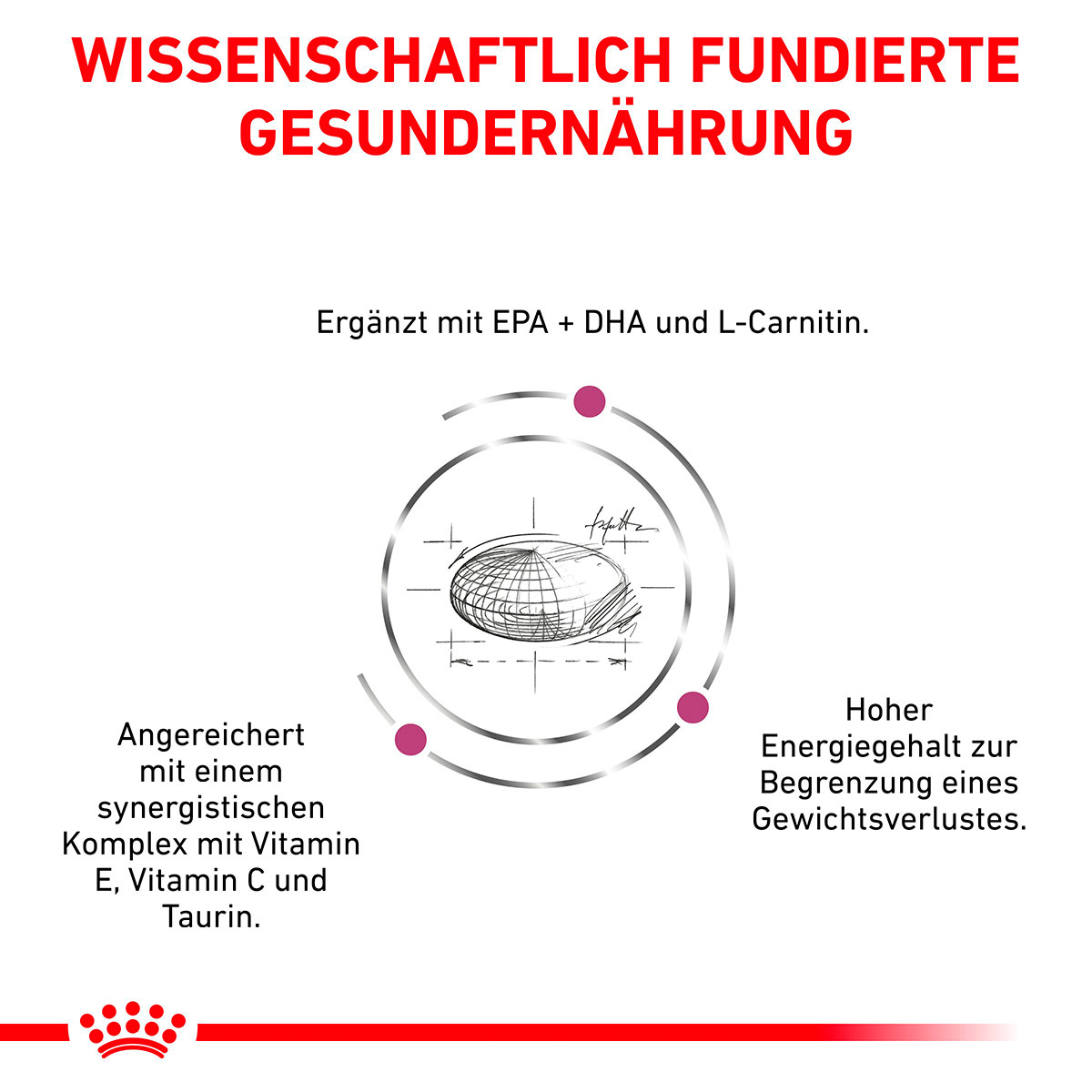 ROYAL CANIN Veterinary CARDIAC Trockenfutter für Hunde