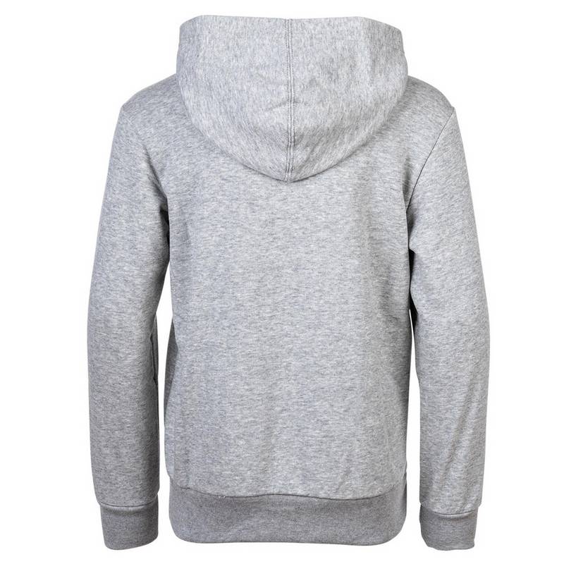 CHAMPION Sweatshirt Sweatshirt