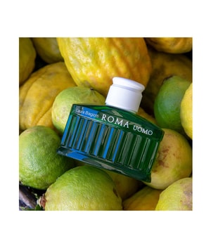 Laura Biagiotti Roma Uomo Green Swing Eau de Toilette 125 ml