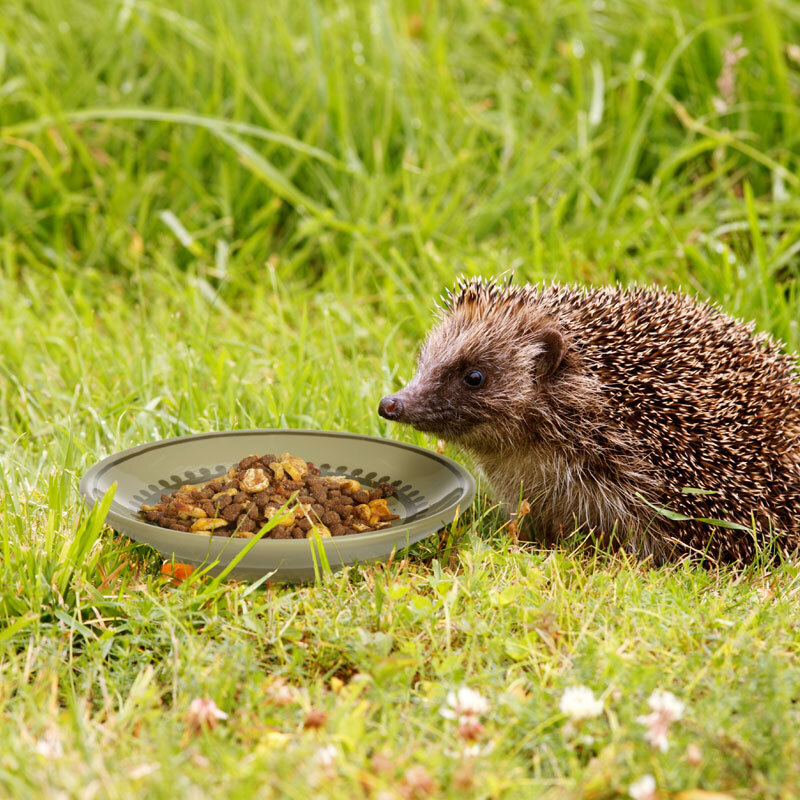 AniOne Igel AniOne Keramikschale Igel