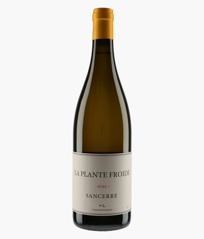 Sancerre La Plante Froide 2021NOZAY