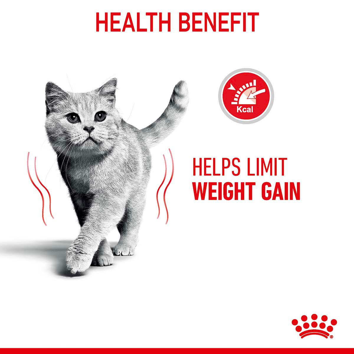 Royal Canin FCN Light Weight Care günstig kaufen