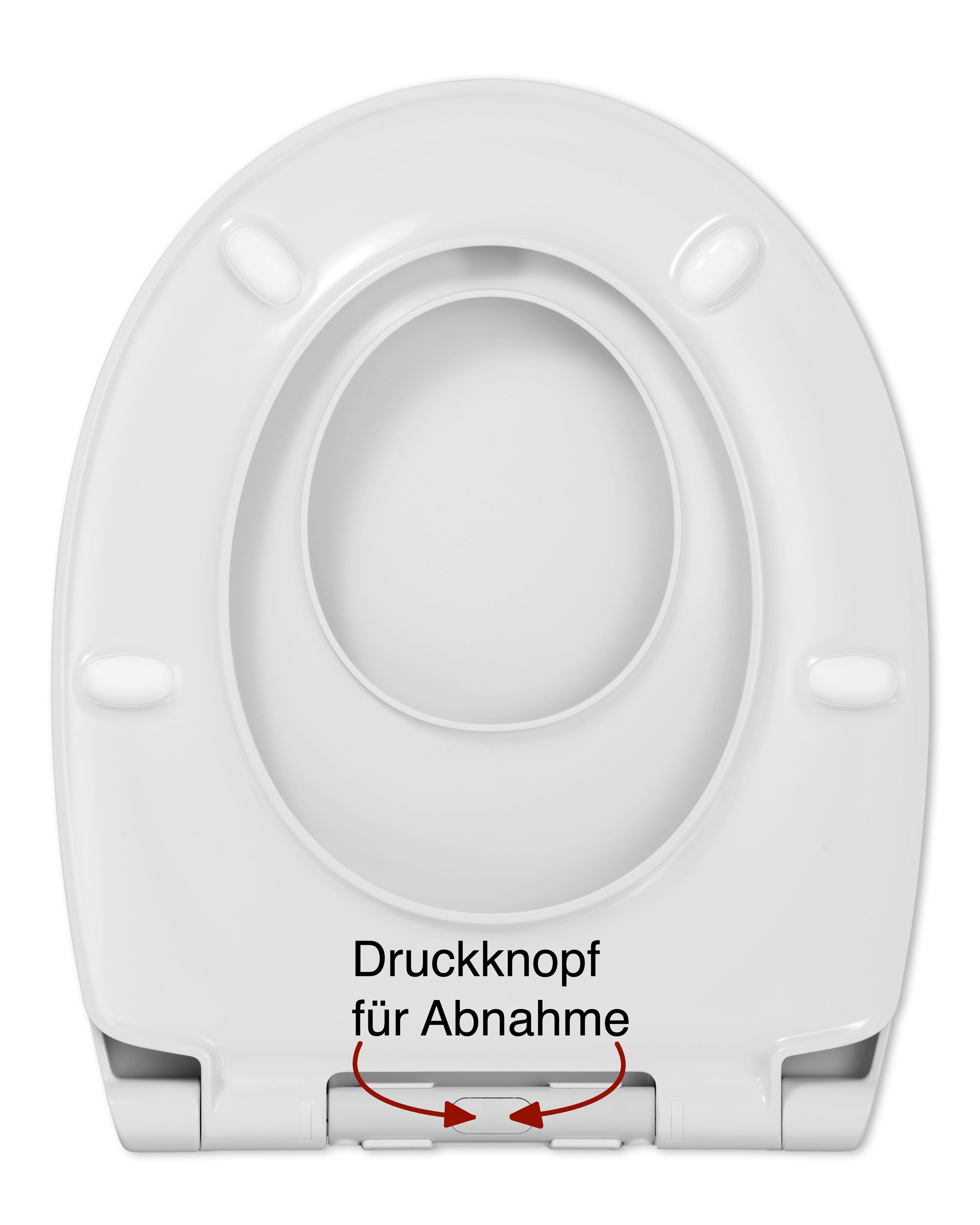 LUVETT Kinder-WC-Sitz Familie C490 (Komplett-Set, Kindersitz-Einlage), mit Original SoftClose® Absenkautomatik, Duroplast