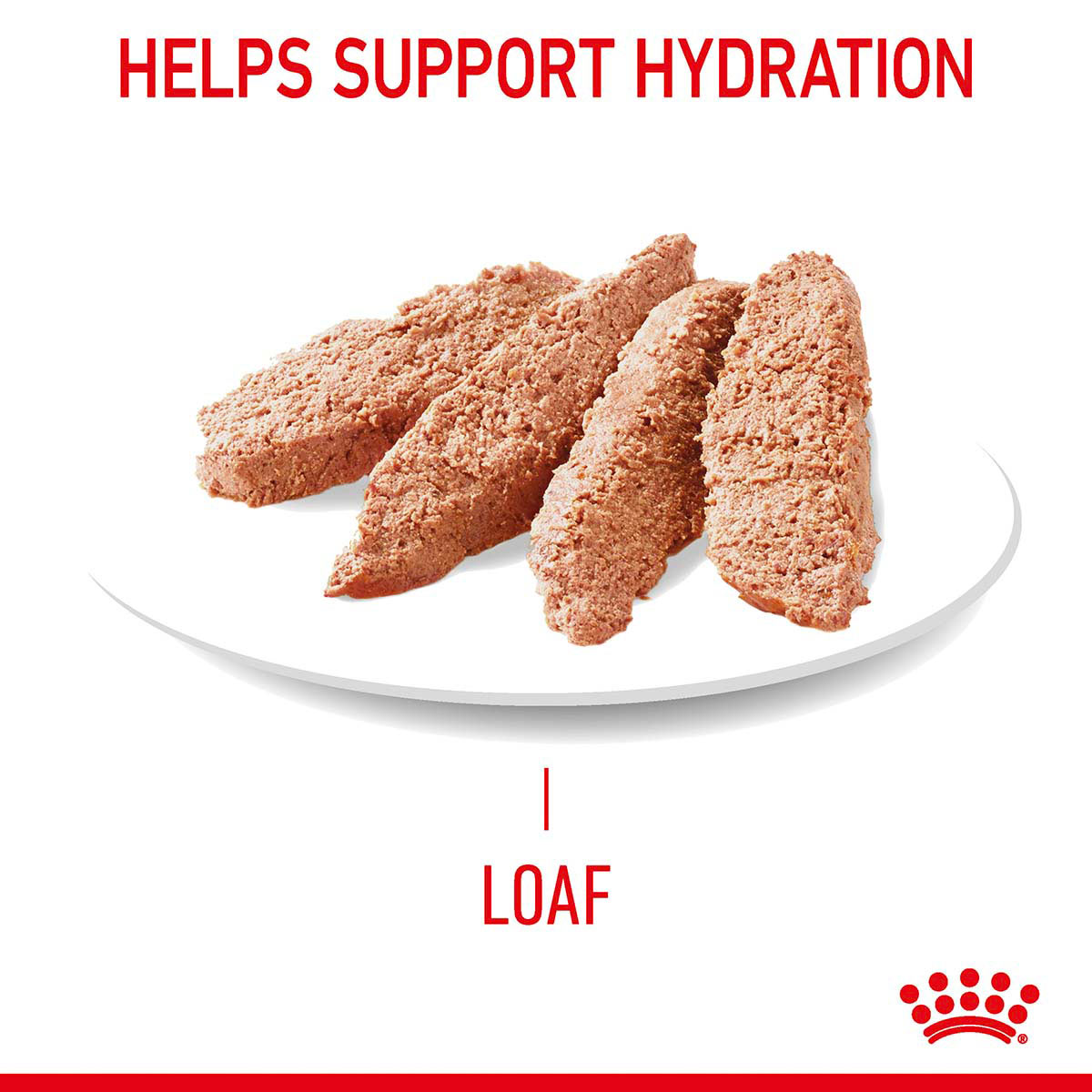 Royal Canin FCN Hair & Skin Loaf günstig kaufen bei ZooRoyal
