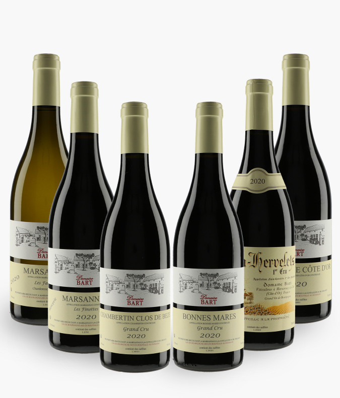 Horizontale Domaine Bart 2020BART