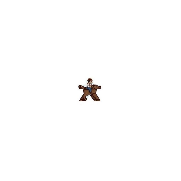 Cowboy Pferd