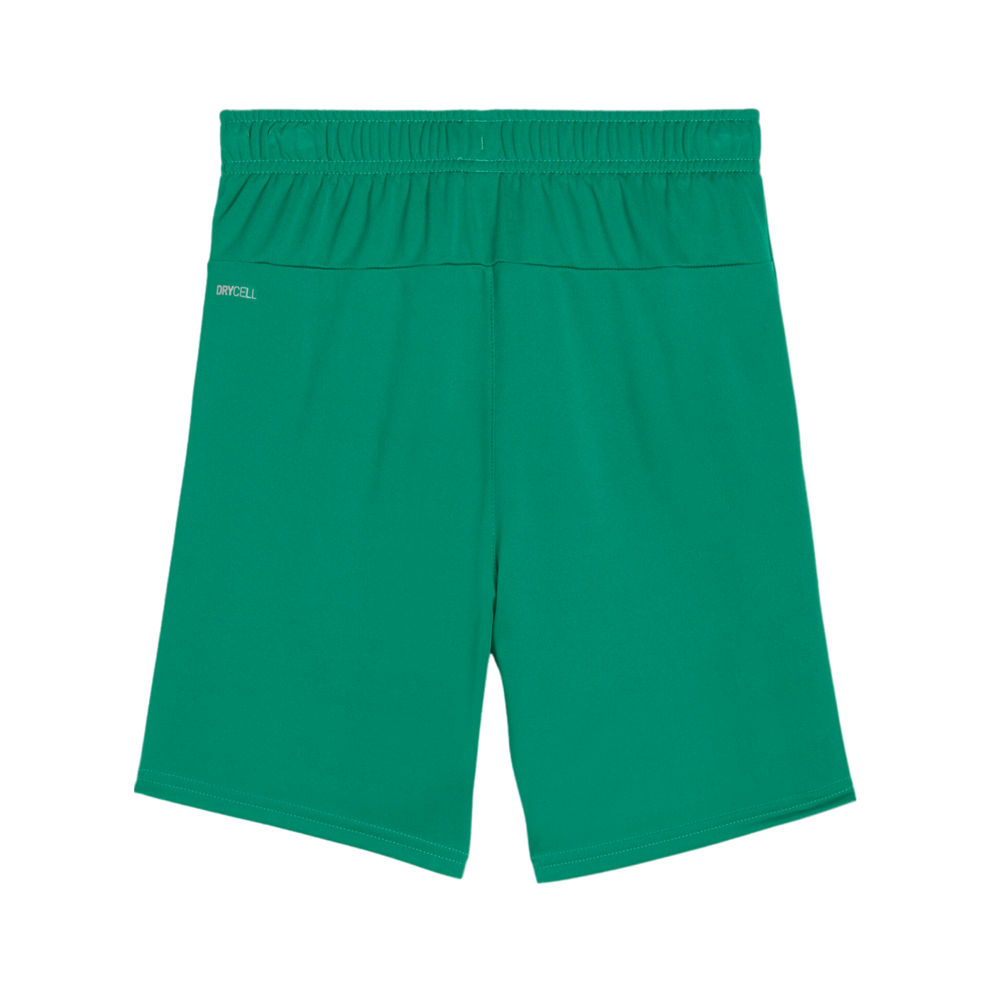 PUMA teamGOAL Short Kids Grün Weiss F05