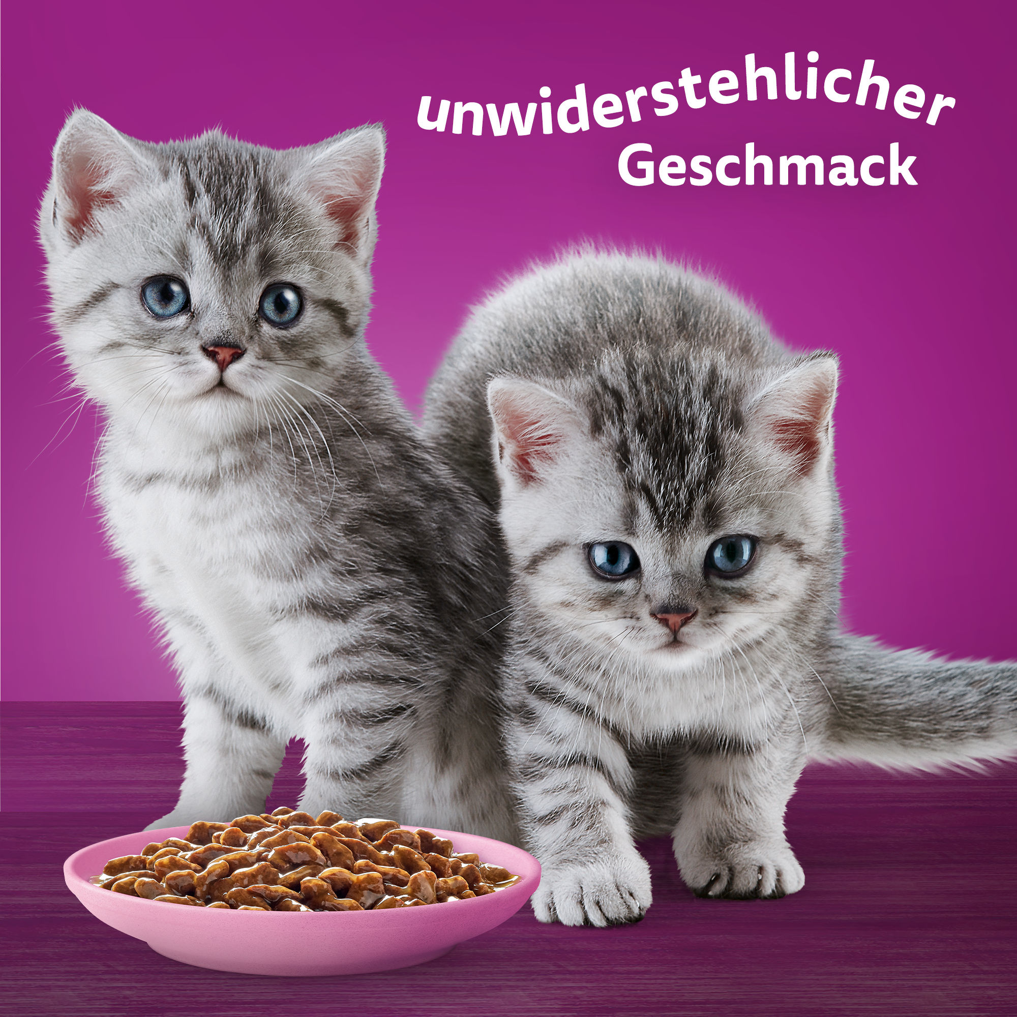 Whiskas Nassfutter Whiskas Multipack Junior Klassische Auswahl in Sauce 12 x 85g