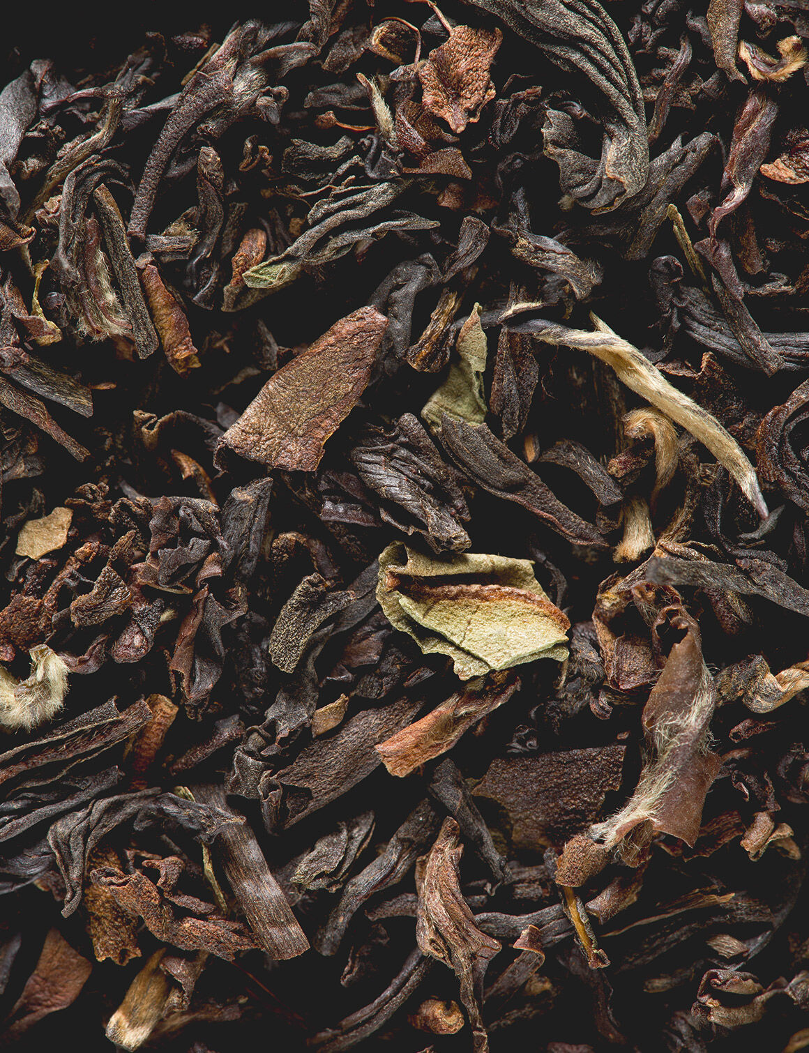 Darjeeling-50 sachets
