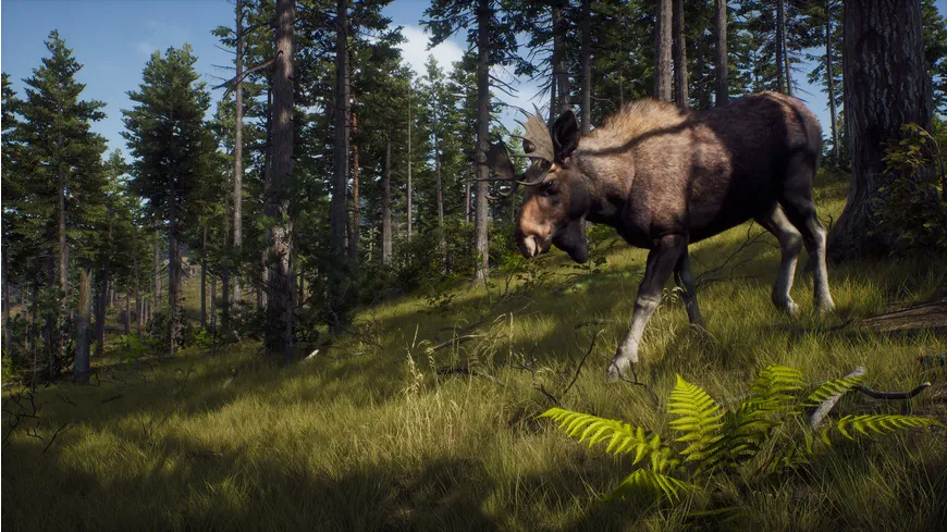 Way of the Hunter