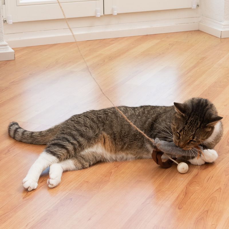 TIAKI Katzenangel Plüsch & Feder zu TOP-Preisen