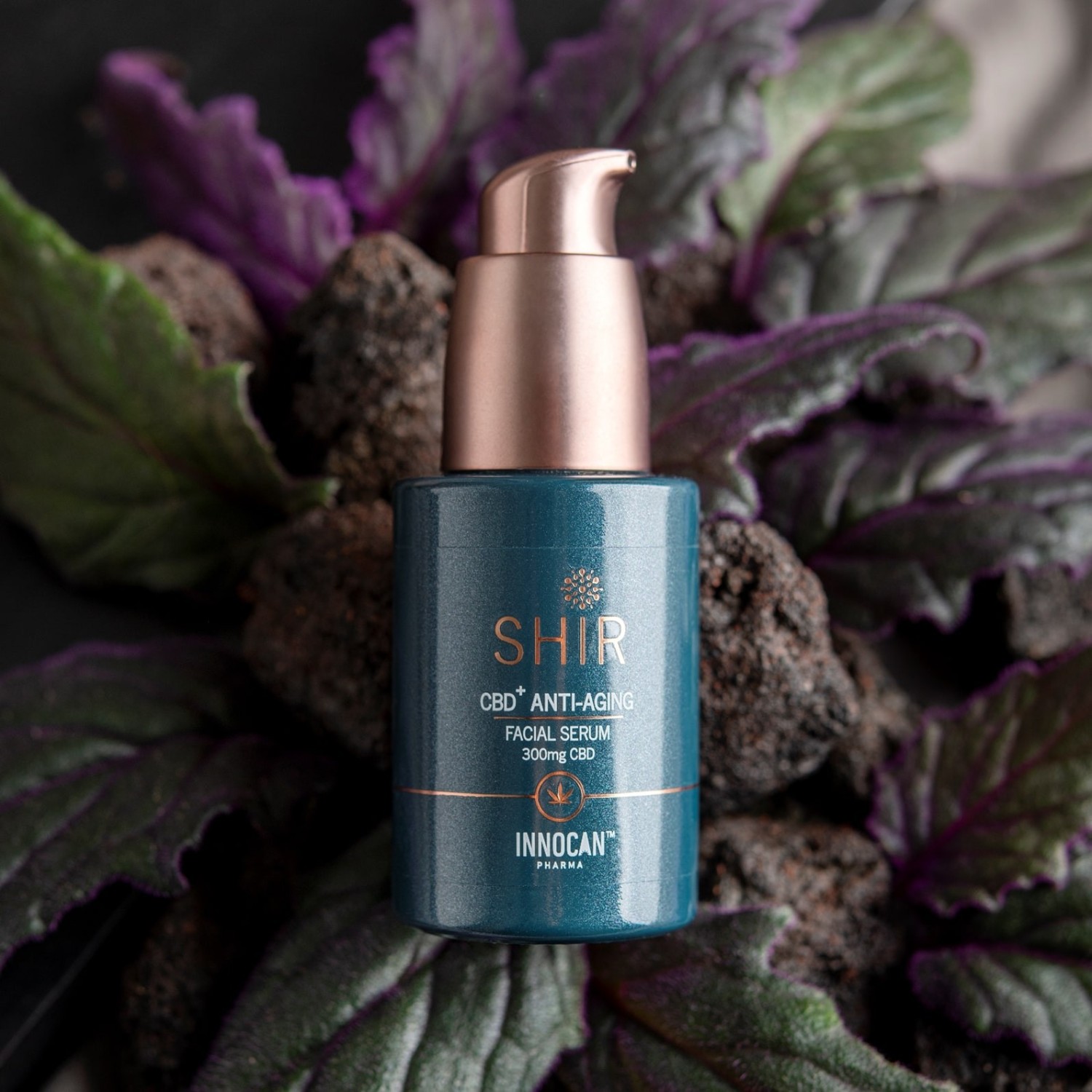 SHIR BEAUTY veido serumas nuo senėjimo, koncentruotas su CBD