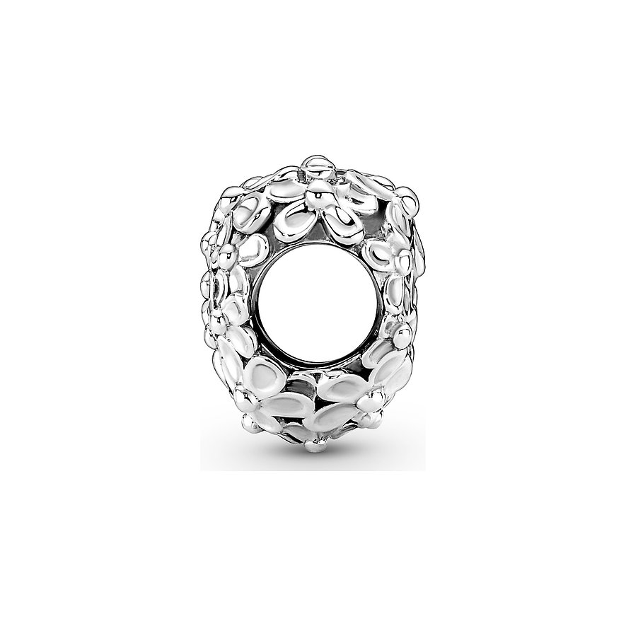 Pandora Charm Moments