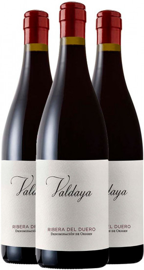 Premium Paket Valdaya Ribera del Duero DO - Herència Altés - Bodegas Valdaya