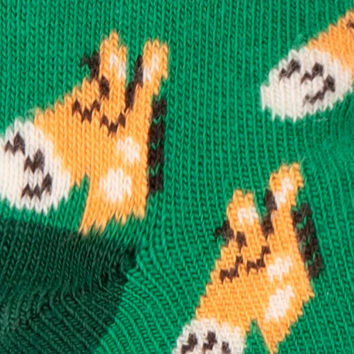 Little Explorer - Pack de chaussettes bébé vert