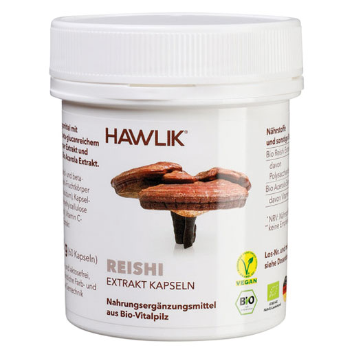 BIO REISHI Extrakt Kapseln  60 St  Kapseln