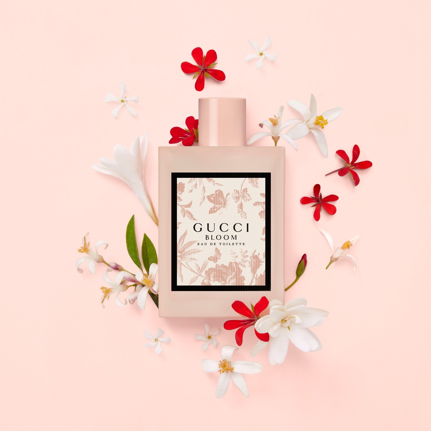 Gucci Bloom