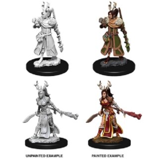 Female Human Druid: Nolzurs Marvelous Unpainted Miniatures