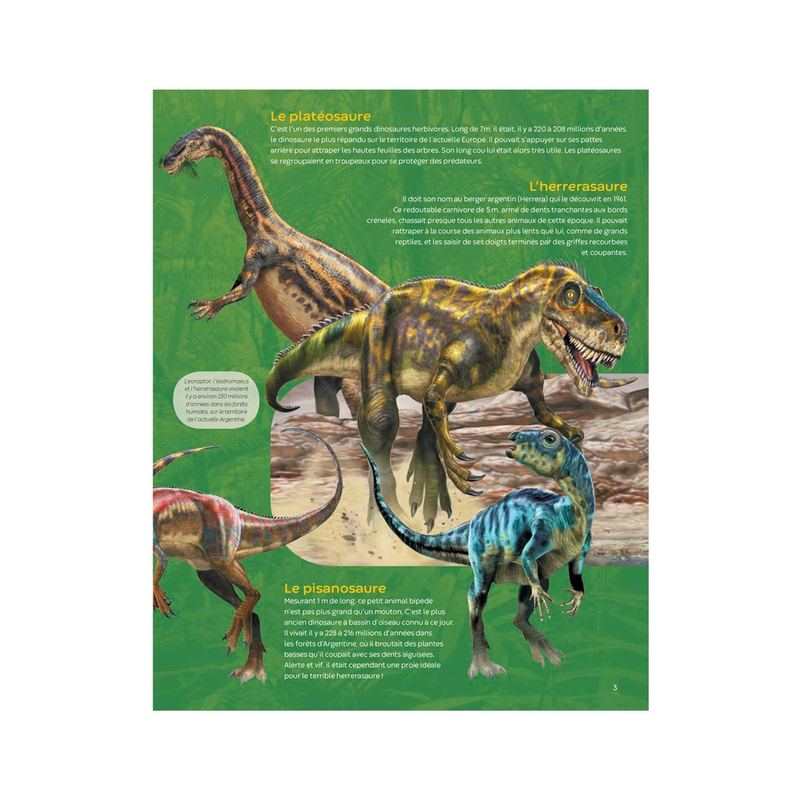 Livre Les Dinosaures - Fleurus