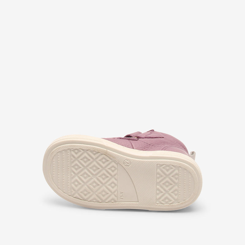 keo purple - Violett