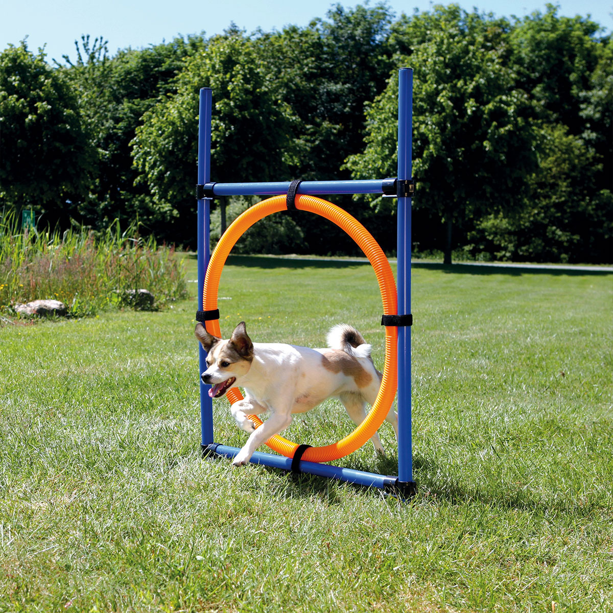 Trixie Dog Activity Agility Set vierteilig kaufen
