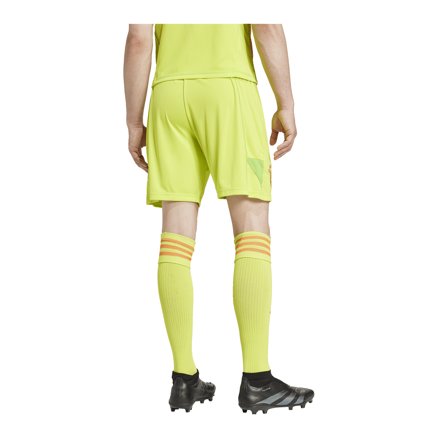 adidas FC Bayern München Torwartshort 2024/2025 Gelb