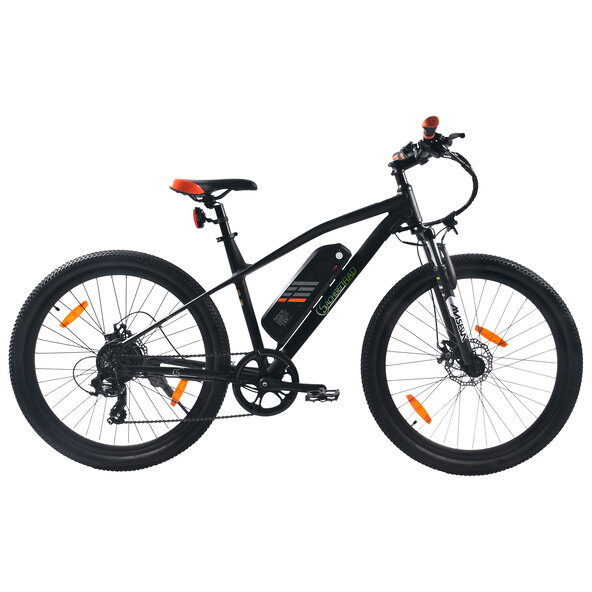 E-Mountainbike R6 Neo 26