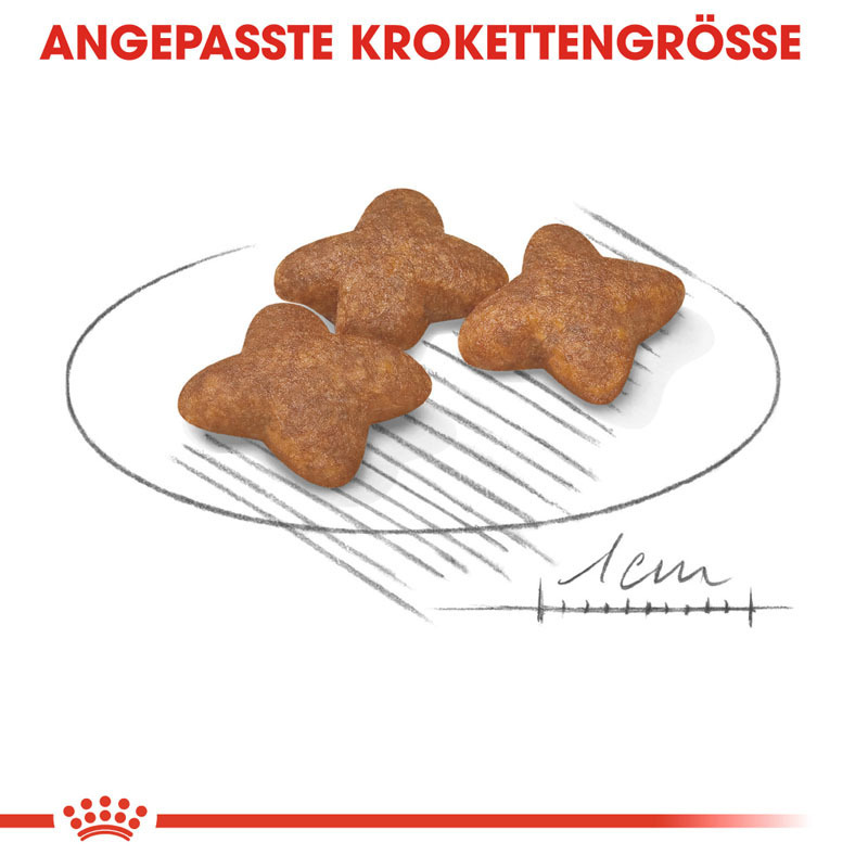 ROYAL CANIN Hundetrockenfutter ROYAL CANIN Mini Adult 4 kg