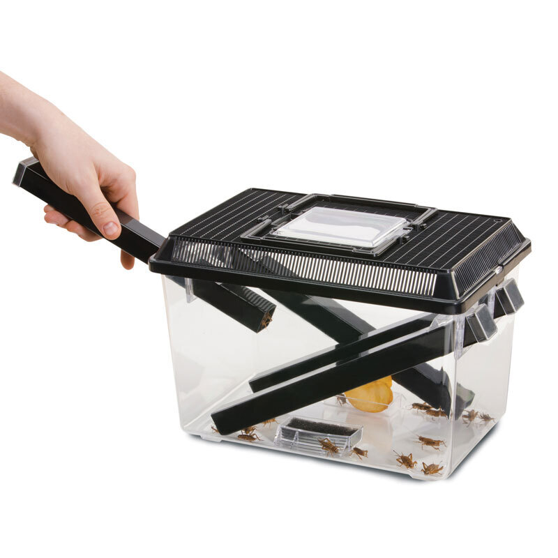 Exo Terra Faunaboxen Exo Terra Cricket Box S