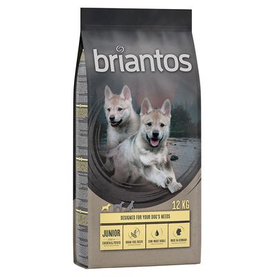 Briantos Sparpaket (2 x Großgebinde)