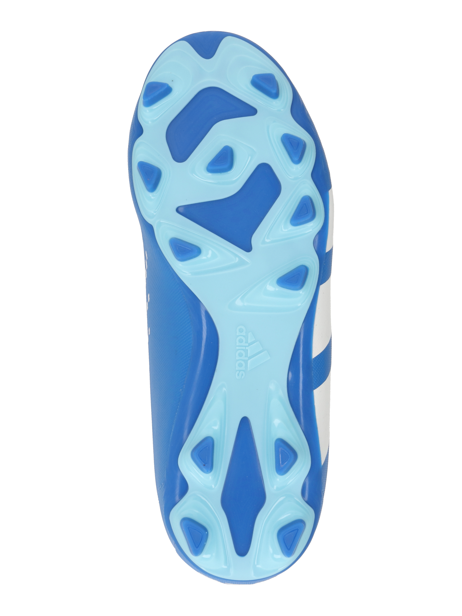 Athletic Shoes 'PREDATOR ACCURACY.4'