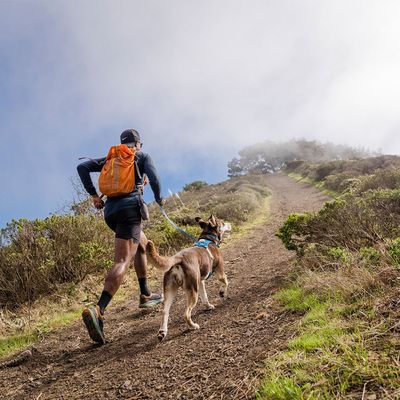 RUFFWEAR Hi & Light Harness, Blue Dusk