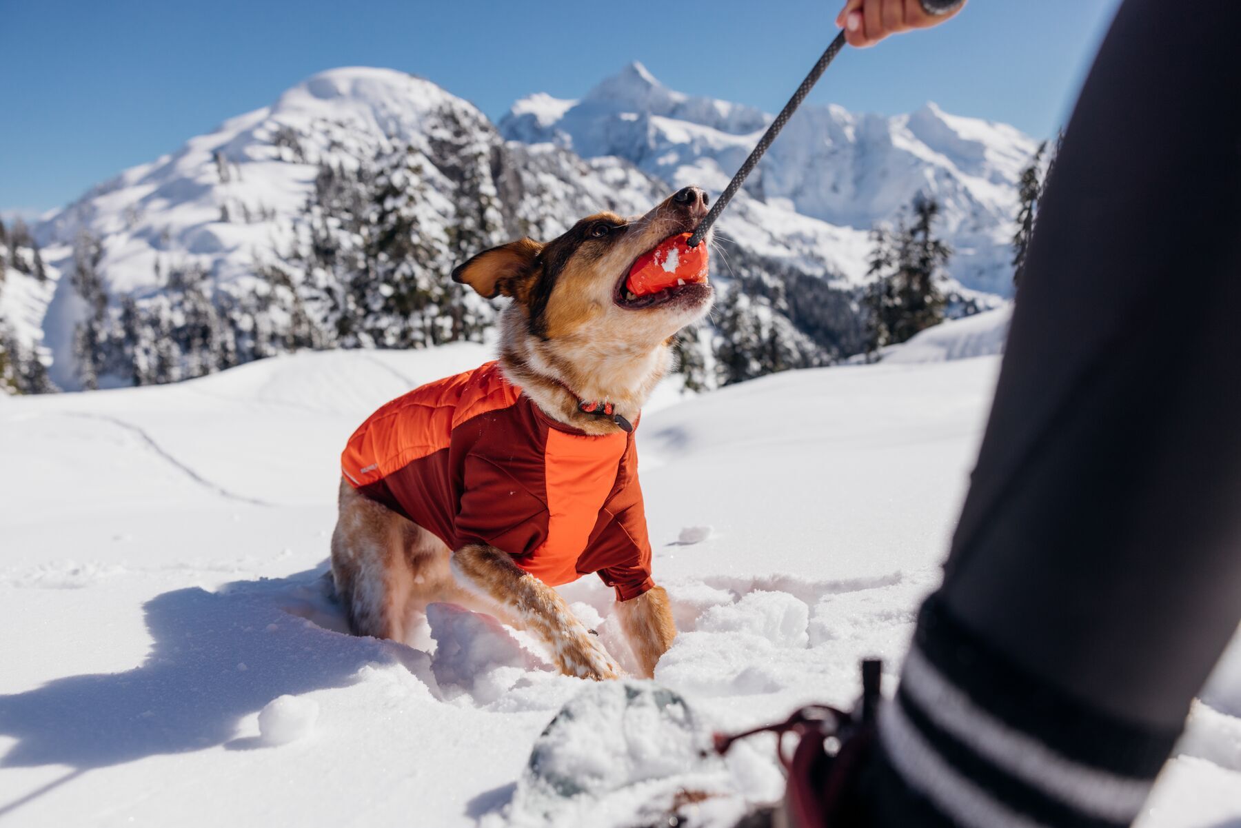 Ruffwear Frisbees & Wurfspielzeug Ruffwear Huck-a-Cone™ Spielzeug rot
