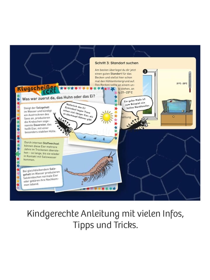 Kosmos Experimentierset Fun Science Wuselnde Salzkrebse, 8-12 Jahre günstig kaufen onesize