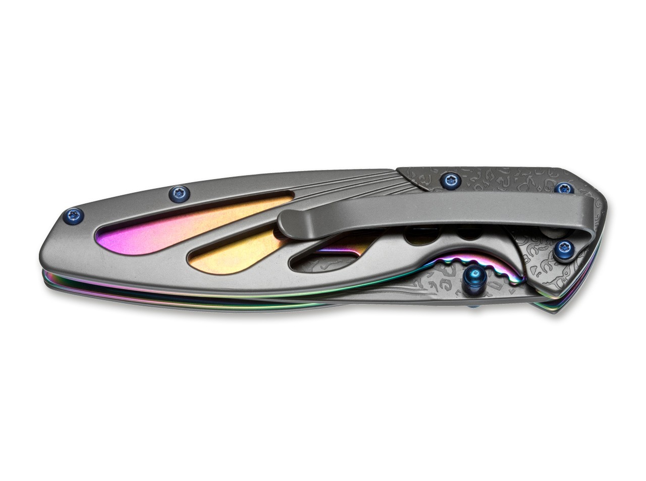 Rainbow Odonata