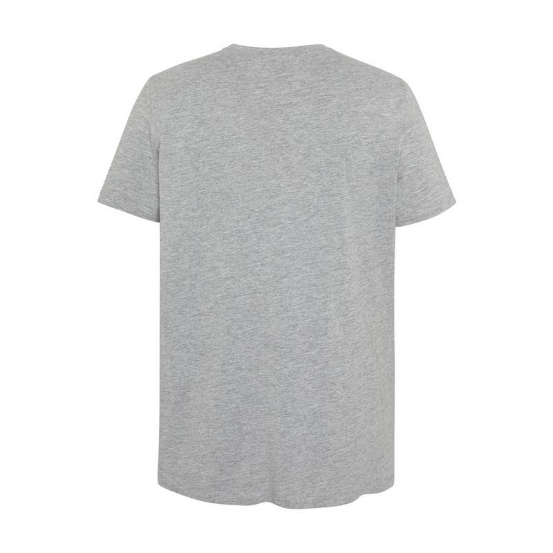 Chiemsee T-Shirt T-Shirt Herren
