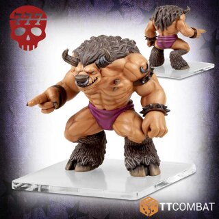Rumbleslam - The Raging Beasts