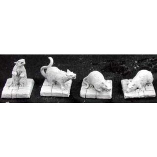 Dire Rats (4 Stk.) (REA02889)