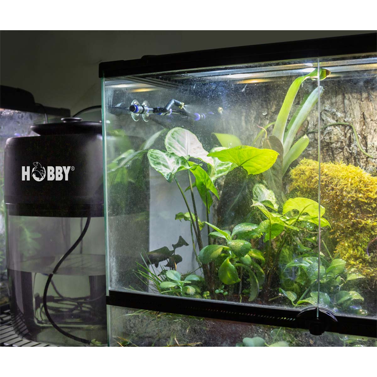 Hobby Easy Rain günstig kaufen