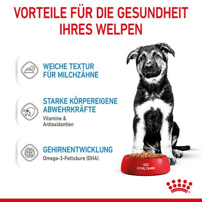 Royal Canin Maxi Puppy in Soße
