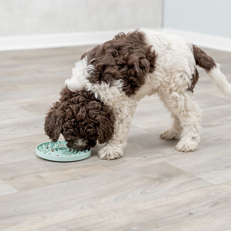 Trixie Junior Lick'n'Snack Schleckplatte zu TOP-Preisen