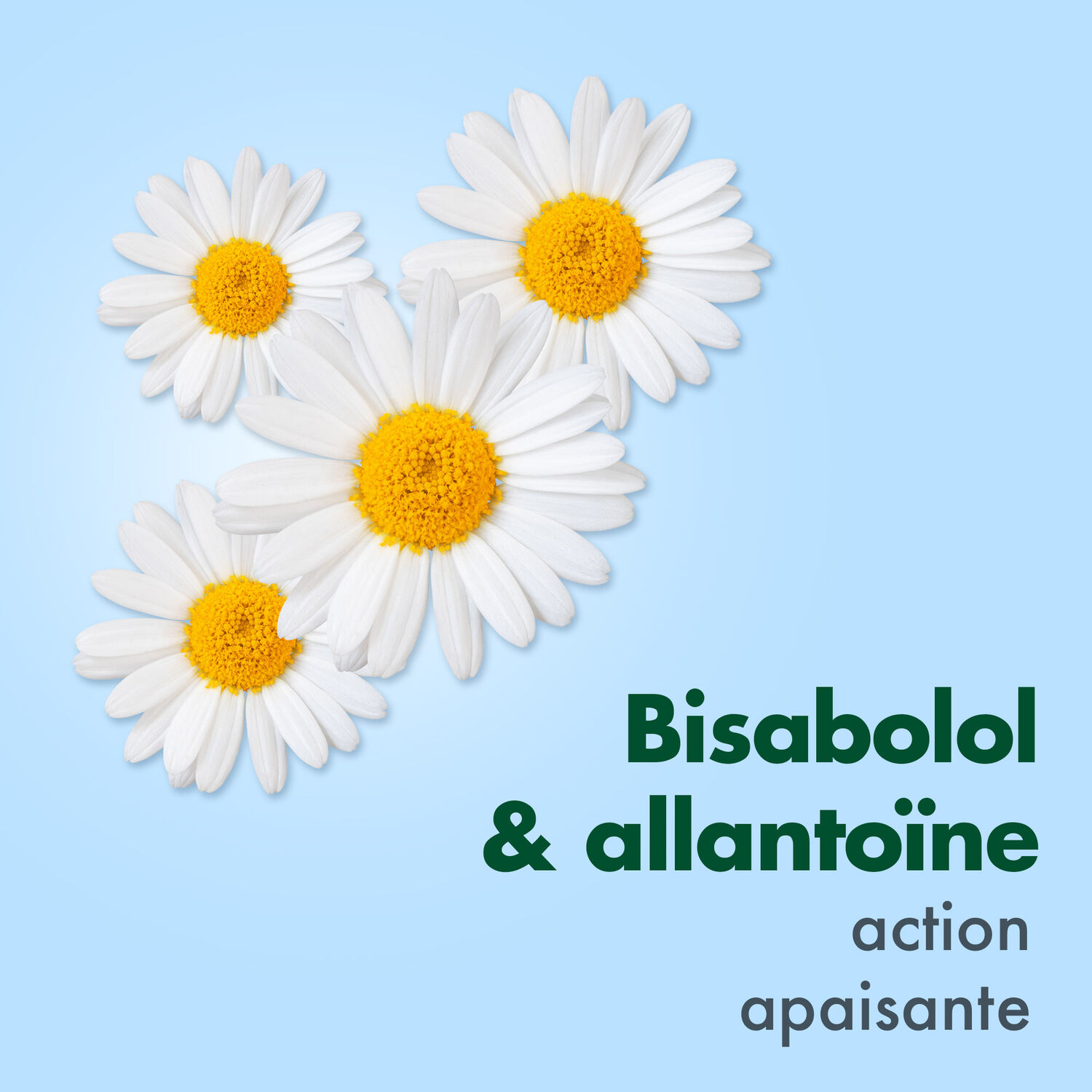 Cicabiafine Crème pieds CICABIAFINE® Duo Crèmes Pieds Secs Anti-Fendillements 2 x 100ml
