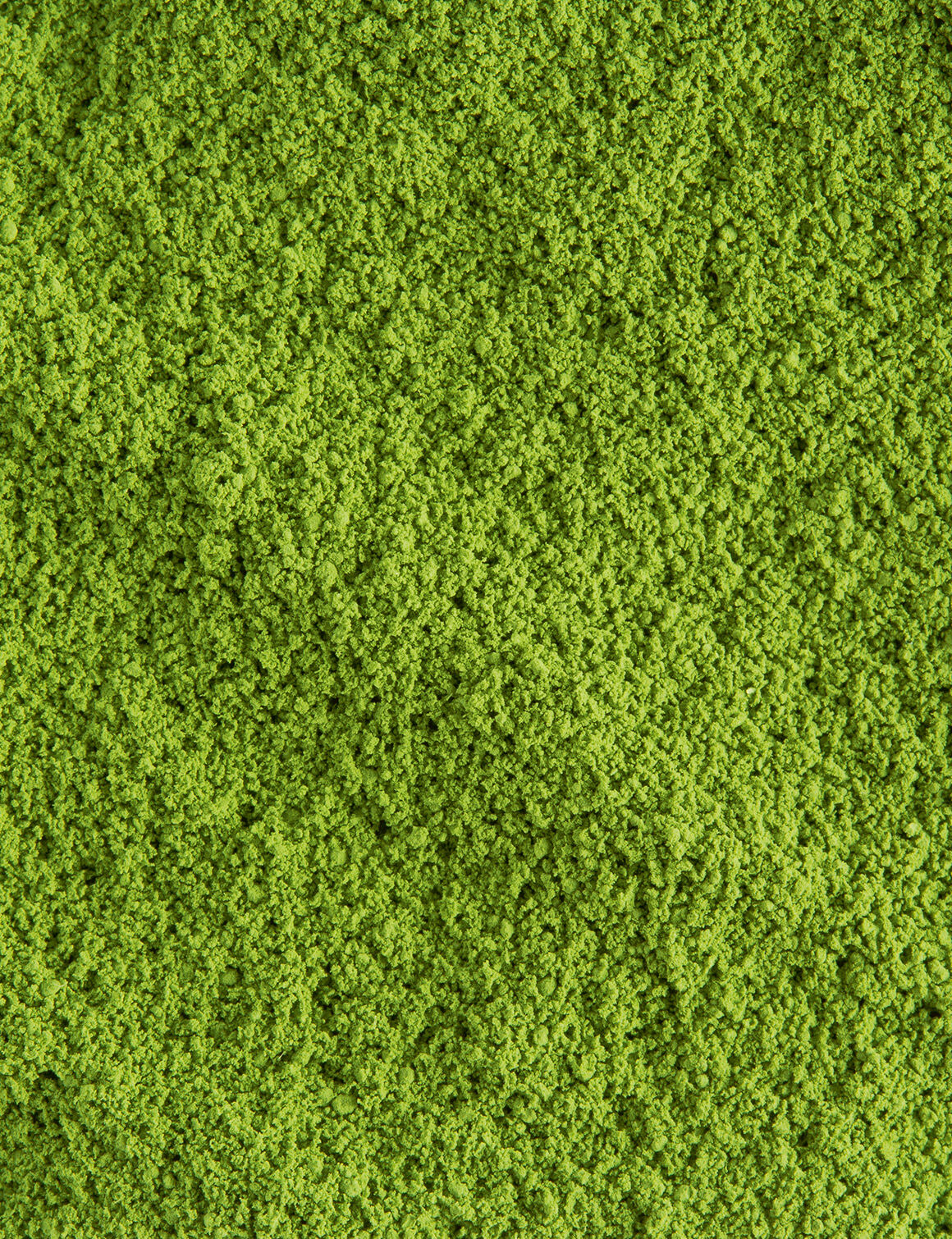 Matcha Tradition-15 sticks
