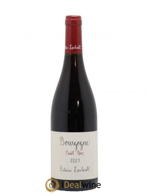 Bourgogne Pinot Noir Antoine Lienhardt  2021 - Lot de 1 Bouteille
