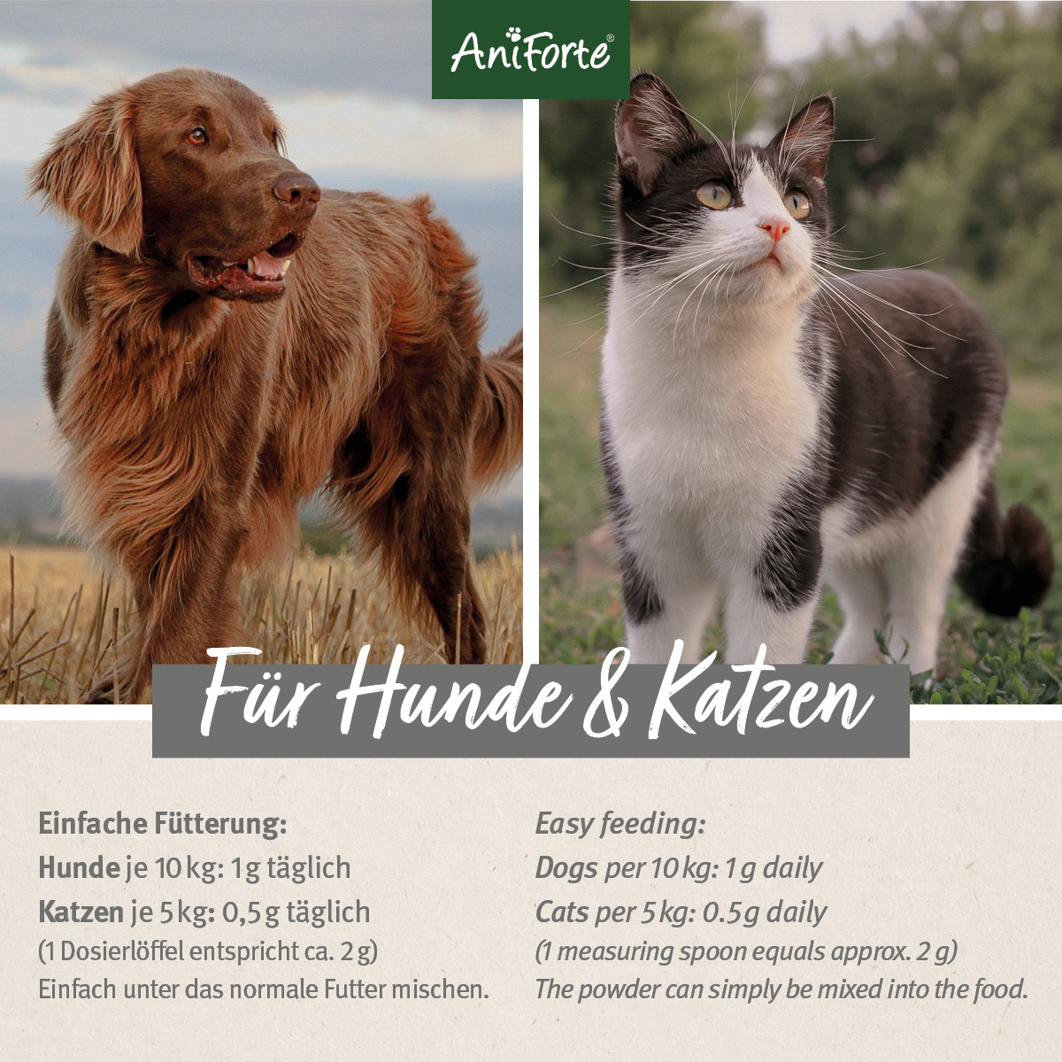Aniforte Ergänzungsfutter & Aufzucht Aniforte MSM Pulver 300g