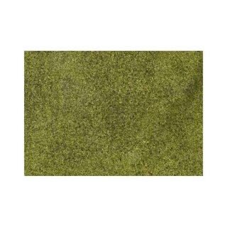 Ziterdes Flock, hellgrün (20 g Box)