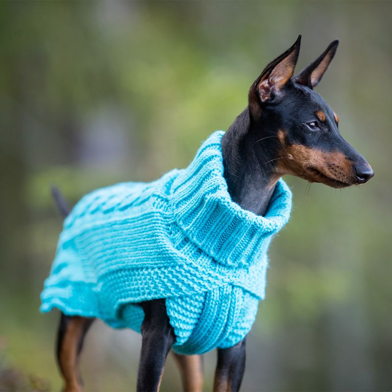 Rukka Hundepullover Wooly, türkis zu TOP-Preisen
