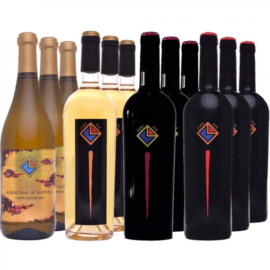 Canaven Kennenlern-Paket BIO - Canaven
