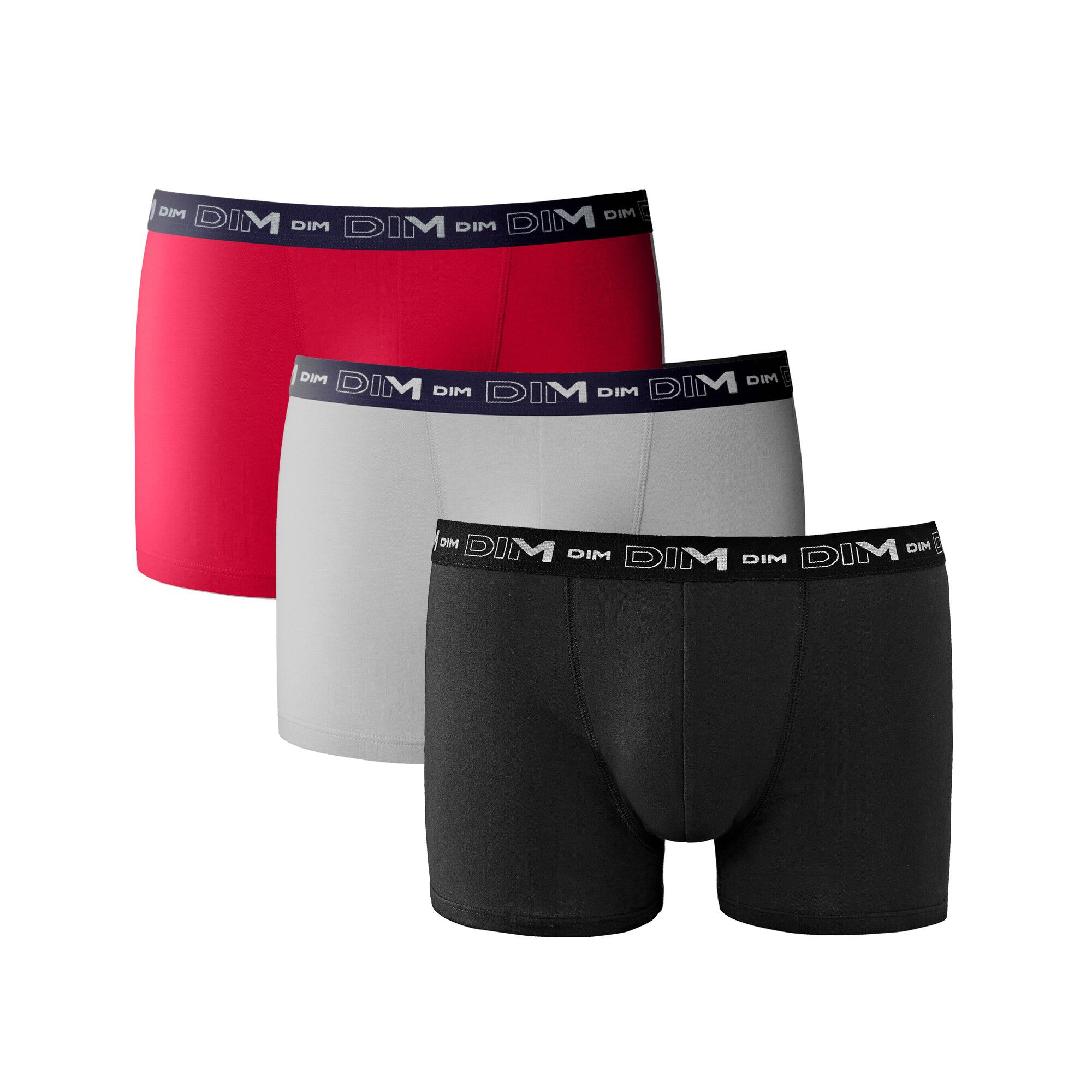 Boxer